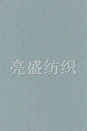 新玻璃拉架網(wǎng)#